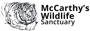 McCarthy’s Wildlife Sanctuary, Inc.