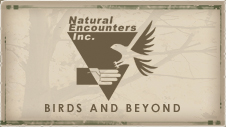 Natural Encounters, Inc.