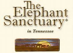 The Elephant Sanctuary in Tennessee